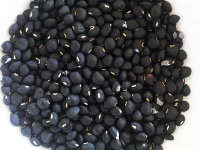 فواید بی نظیر نخود سیاه را بدانید